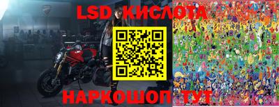прущие грибы Мариинск