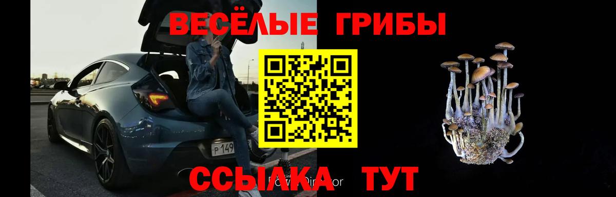 Пугачёв  Галлюциногенные грибы Psilocybine cubensis  Вход с VPN 